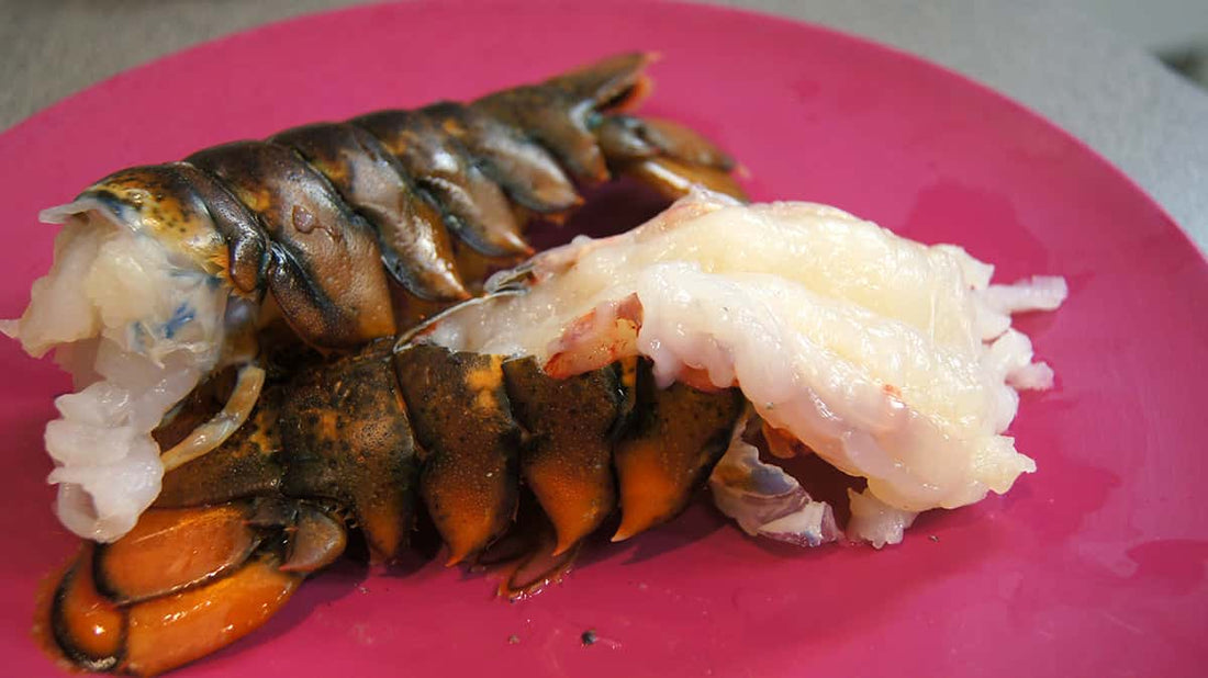 Baked Lobster Tail Recipe Recipe - LGCM Dev