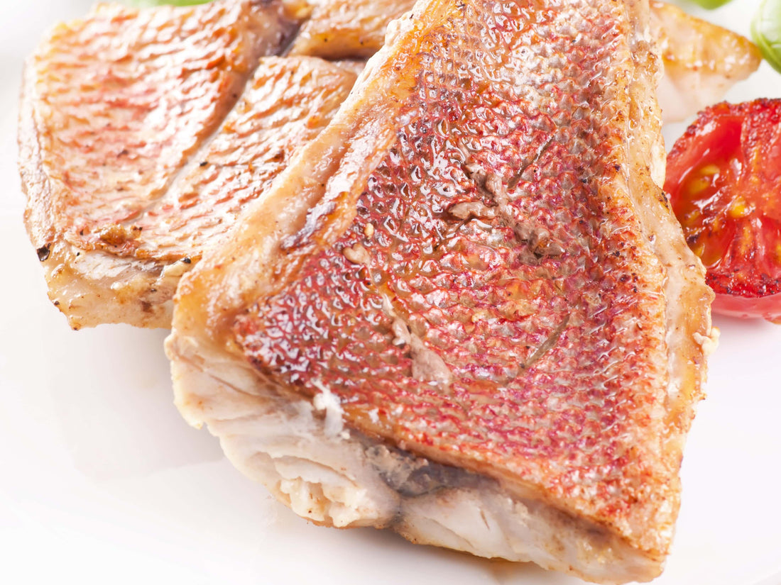 Grilled Red Snapper - LGCM Dev