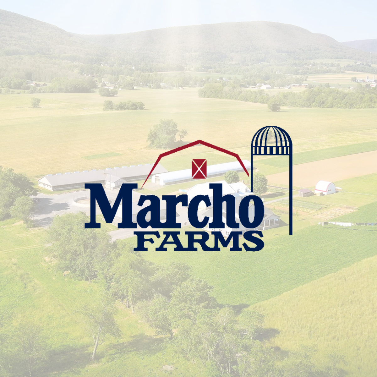 marcho farms logo