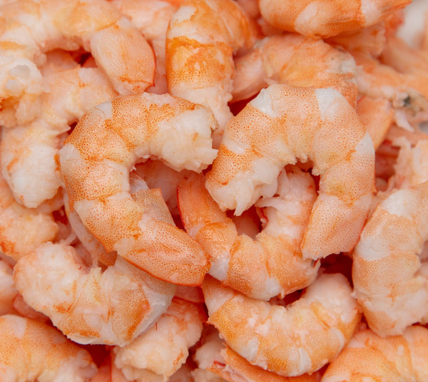 raw red shrimp close up image