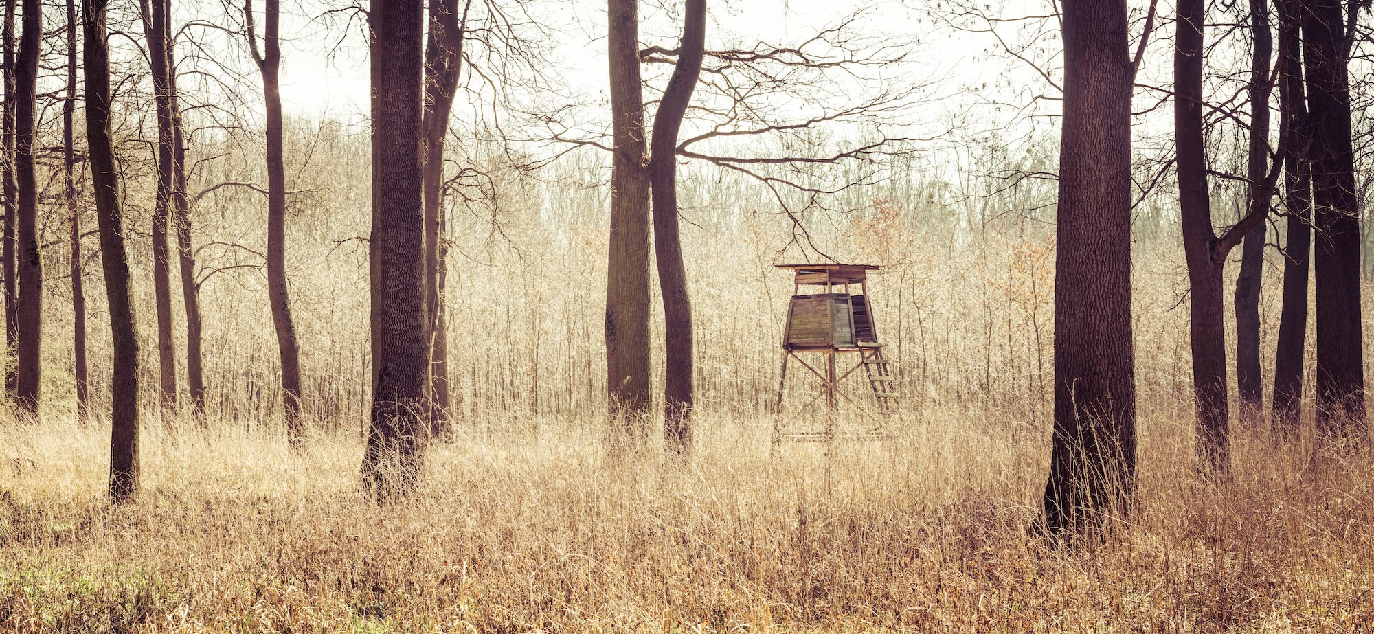 a tree stand for hunting in the woods