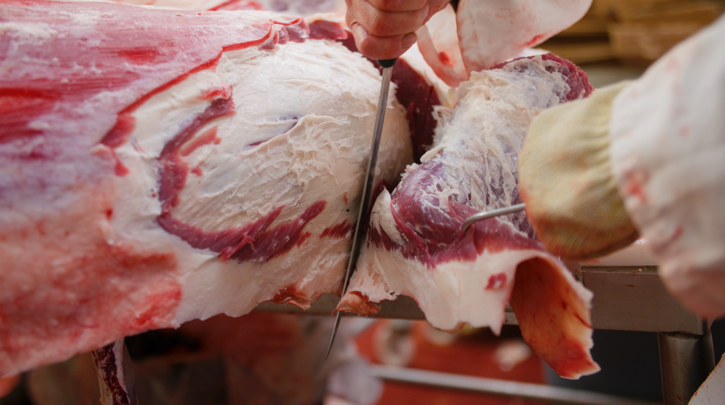 a butcher taking a knife through a side of beef