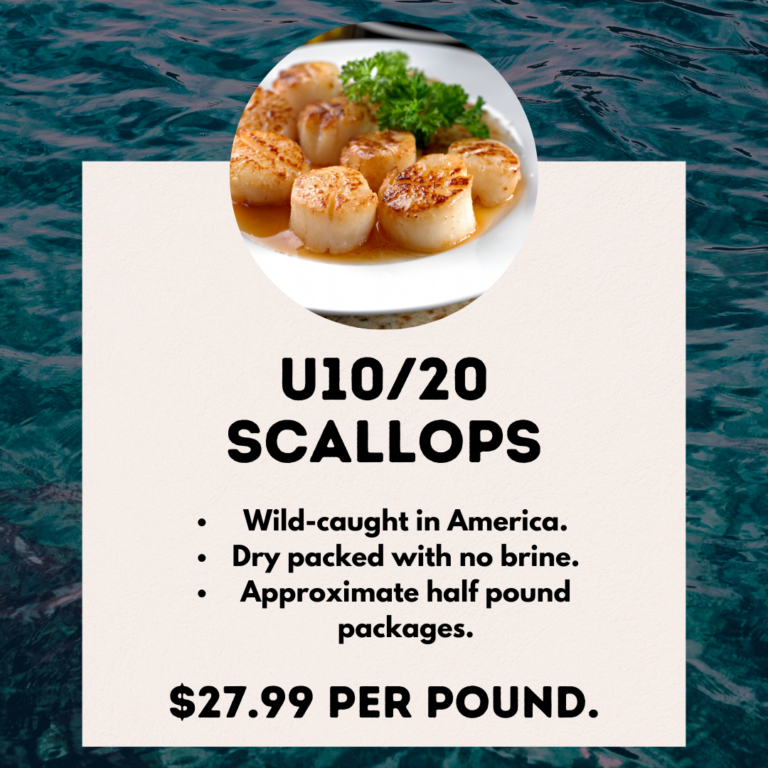 10. Scallops