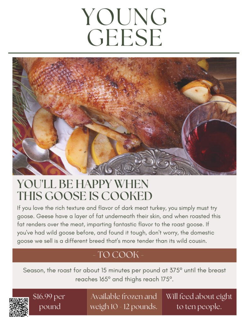 An LGCM Christmas 15 GOOSE