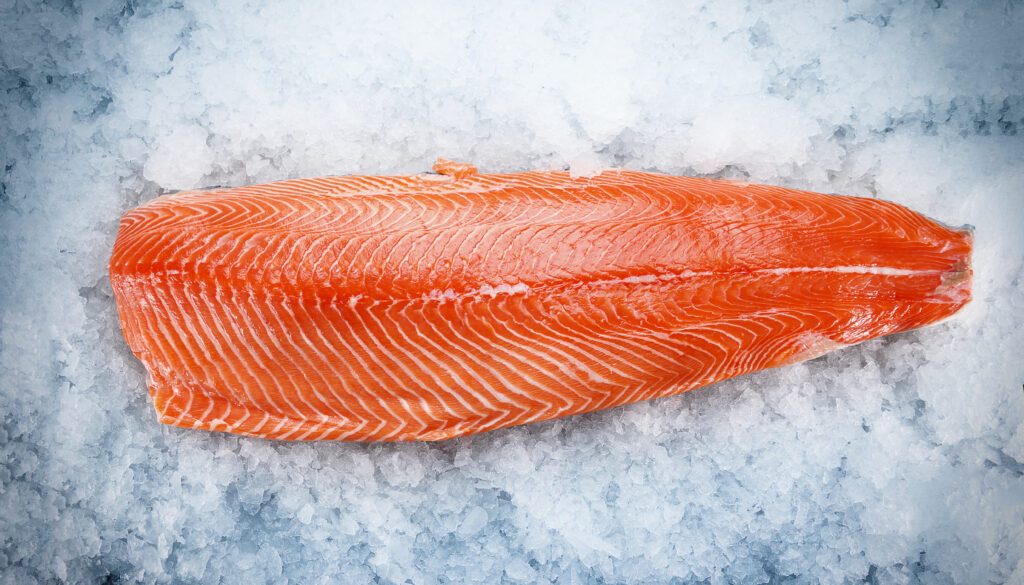 Salmon fillet on ice