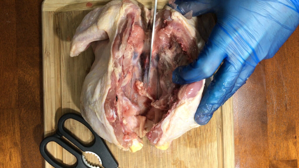 Next, cut a notch in the sternum to help you open up the bird.