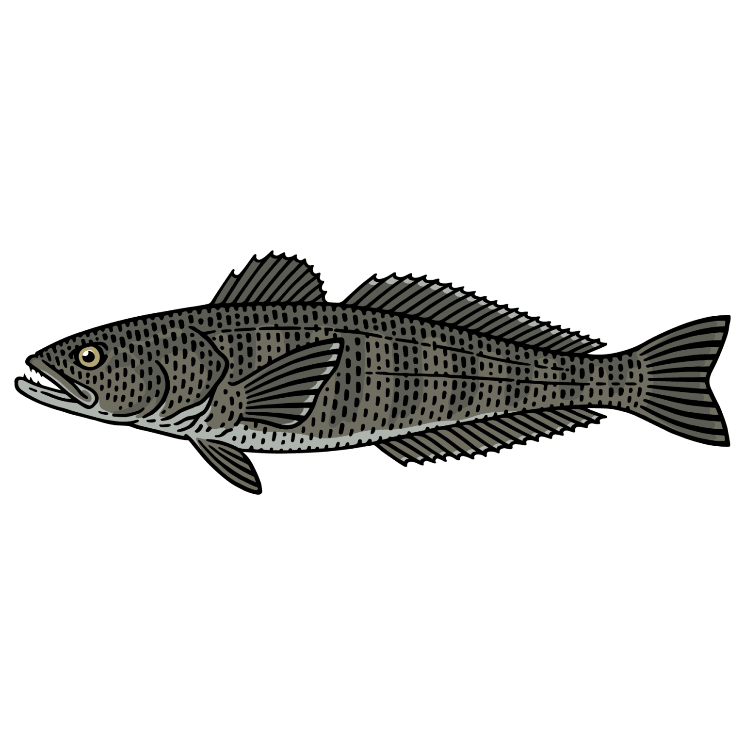 Learn About Chilean Sea Bass (Recipes Included!) LGCM