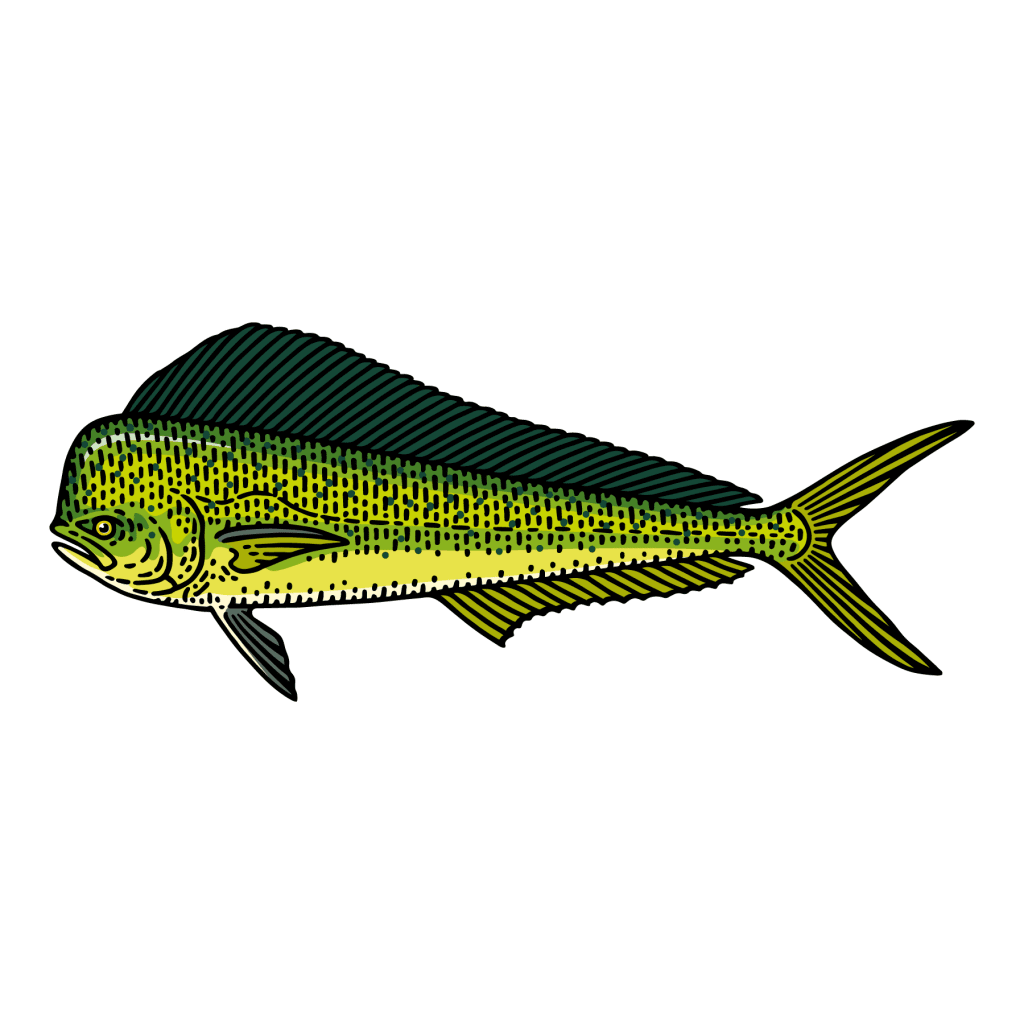 Learn About Mahi Mahi (Recipes Included!) LGCM