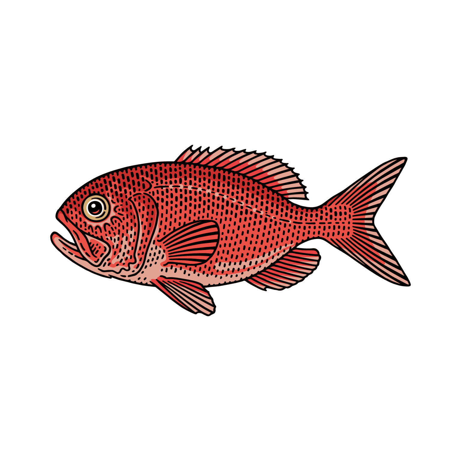 Learn About Orange Roughy (Recipes Included!) LGCM