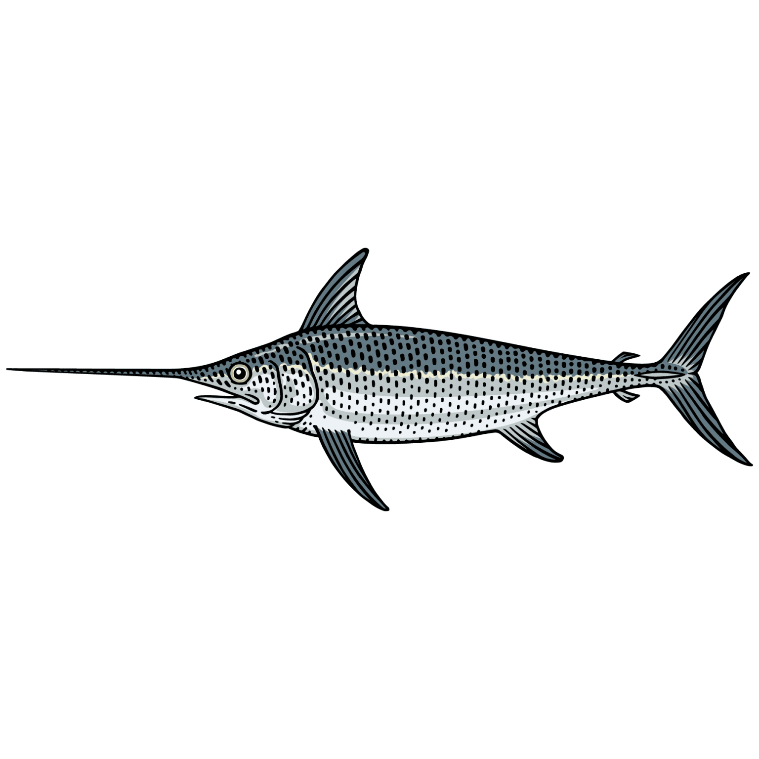 Learn About Swordfish (Recipes Included!) LGCM